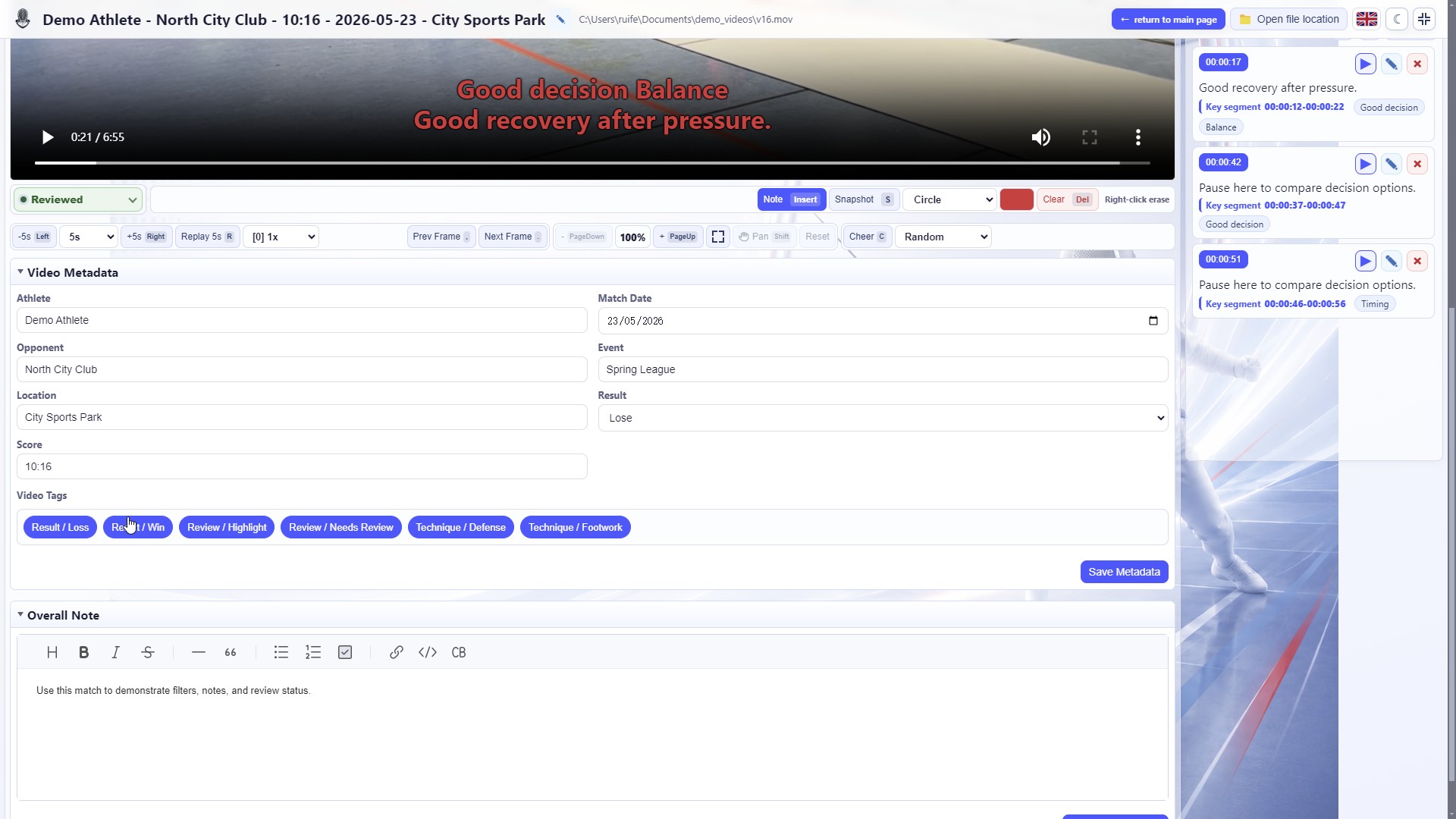Editor fuer Gesamtanalyse und Notizen
